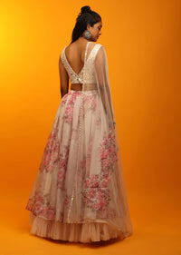 Dew Beige Lehenga In Sheer Organza With Floral Print And Mirror Abla Embroidered Sleeveless Choli