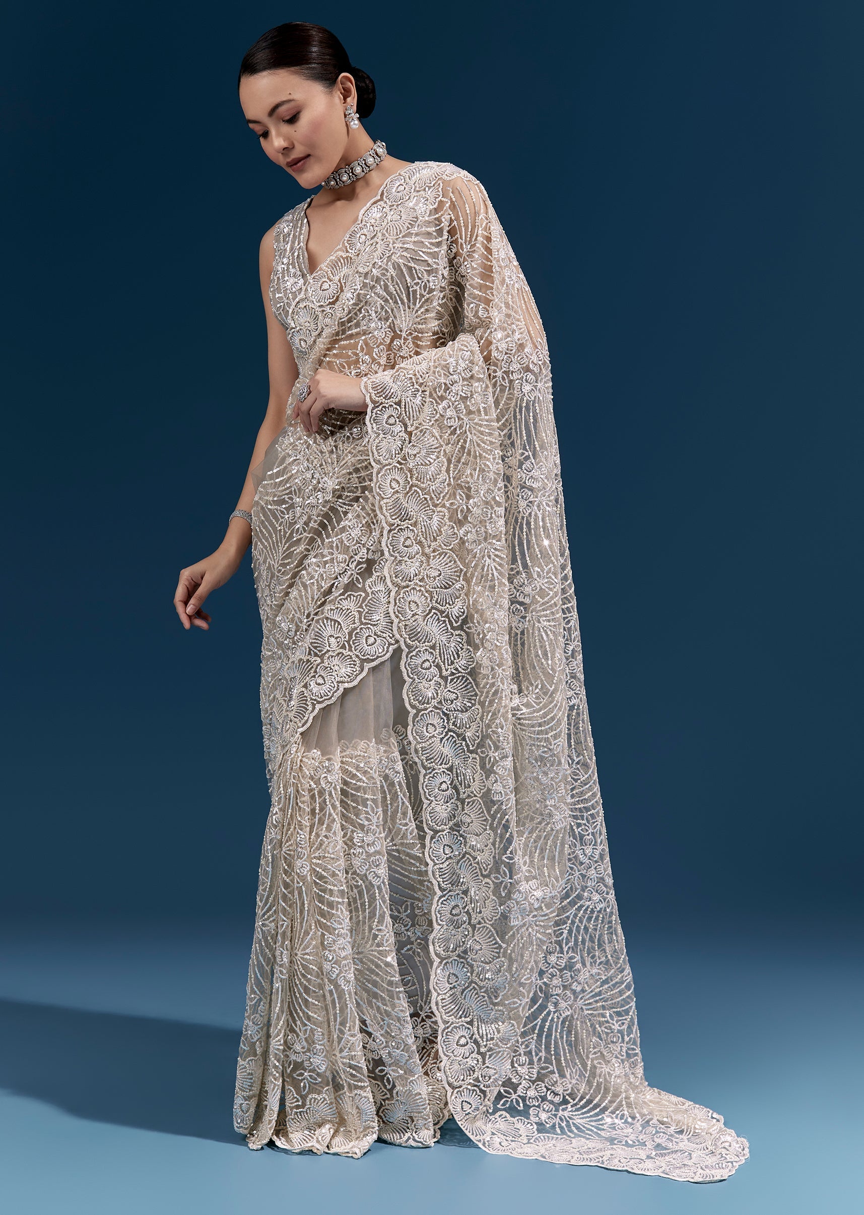 Dusky Beige Heavy Embroidered Net Saree With Cutwork Border And Floral Jaal