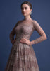 Eve Champagne Gown In Hand Crafted Net With Snowflake Motifs