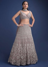 Eve Champagne Lehenga Choli With Cut Dana Work And Embellished Choker With Attached Dupatta