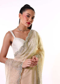 Dusty Peach Saree In Organza With Mirror Embroidered Scallop Border Along With Flower Shaped Sequins Online - Kalki Fashion