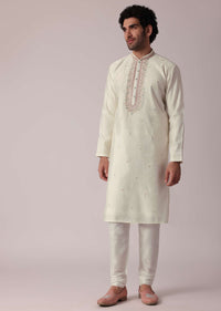 Elegant Embroidered Festive Kurta Set For Men