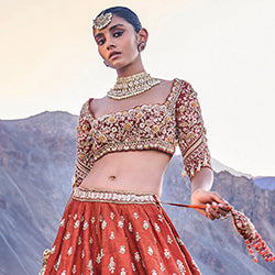 bride-baraat-viii