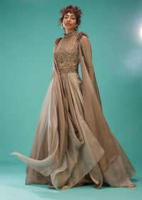 Mocha Brown Embroidered Ball Gown In Organza With A Gradient Shade Of Silver Lining