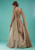 Mocha Brown Embroidered Ball Gown In Organza With A Gradient Shade Of Silver Lining