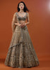 Mocha Brown Festive Ornate Net Lehenga In With Heavy Embroidery - NOOR 2022