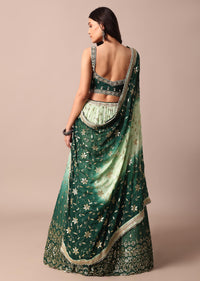 Forest Green Lehenga With Embroidered Choli And Sequin Dupatta Set