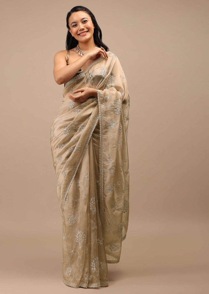 Frosted Almond Tissue Saree In Zardozi Embroidery Buttis, Leafy Motifs Embroidery Detailing On Border