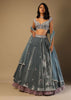 Frozen Blue Lehenga With Multi Colored Hand Embroidered Floral Buttis And Heavy Embroidered Choli