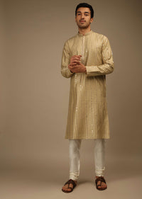 Ginger Taupe Kurta Set In Silk With Resham And Sequins Abla Embroidered Striped Design