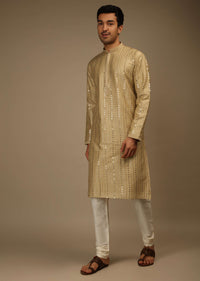 Ginger Taupe Kurta Set In Silk With Resham And Sequins Abla Embroidered Striped Design