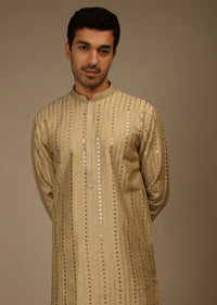 Ginger Taupe Kurta Set In Silk With Resham And Sequins Abla Embroidered Striped Design