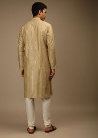 Ginger Taupe Kurta Set In Silk With Resham And Sequins Abla Embroidered Striped Design
