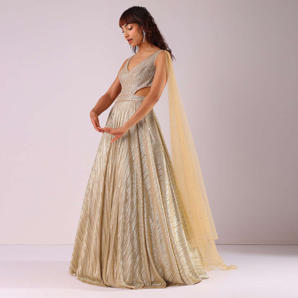 Glam Gold Embroidered Gown In Knit Fabric With Net Trail Wings