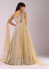 Glam Gold Embroidered Gown In Knit Fabric With Net Trail Wings