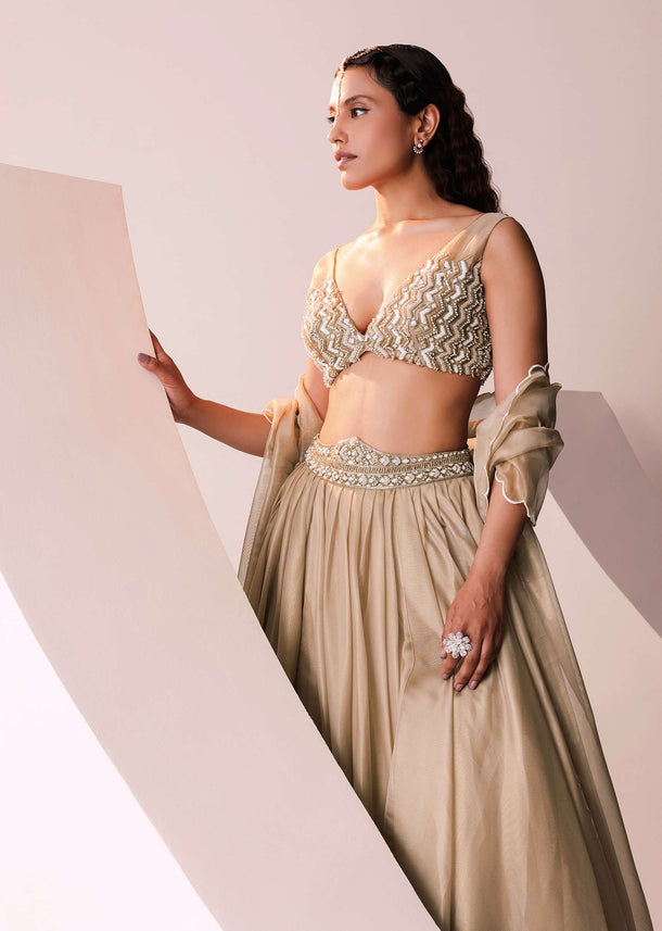 Glam Gold Embroidered Lehenga Set In Jute Organza