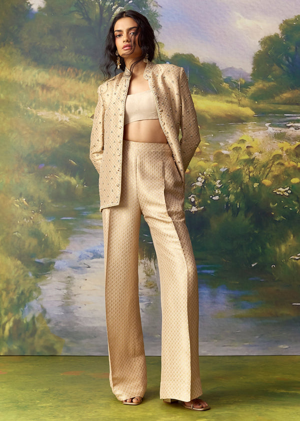Gold Tissue Crop Top Pants Set With Banarasi Silk Embroidered Jacket