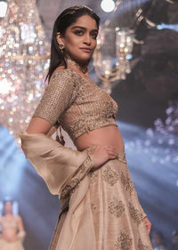 Sandcastle Tan Lehenga Choli With Hand Embroidered Buttis In Heritage Motifs Online - Kalki Fashion