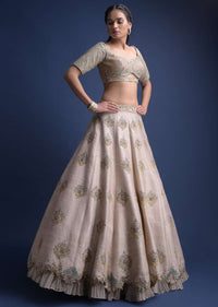 Sandcastle Tan Lehenga Choli With Hand Embroidered Buttis In Heritage Motifs Online - Kalki Fashion