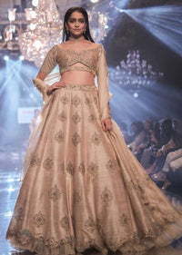 Sandcastle Tan Lehenga Choli With Hand Embroidered Buttis In Heritage Motifs Online - Kalki Fashion