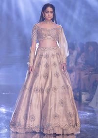 Sandcastle Tan Lehenga Choli With Hand Embroidered Buttis In Heritage Motifs Online - Kalki Fashion