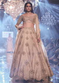 Sandcastle Tan Lehenga Choli With Hand Embroidered Buttis In Heritage Motifs Online - Kalki Fashion