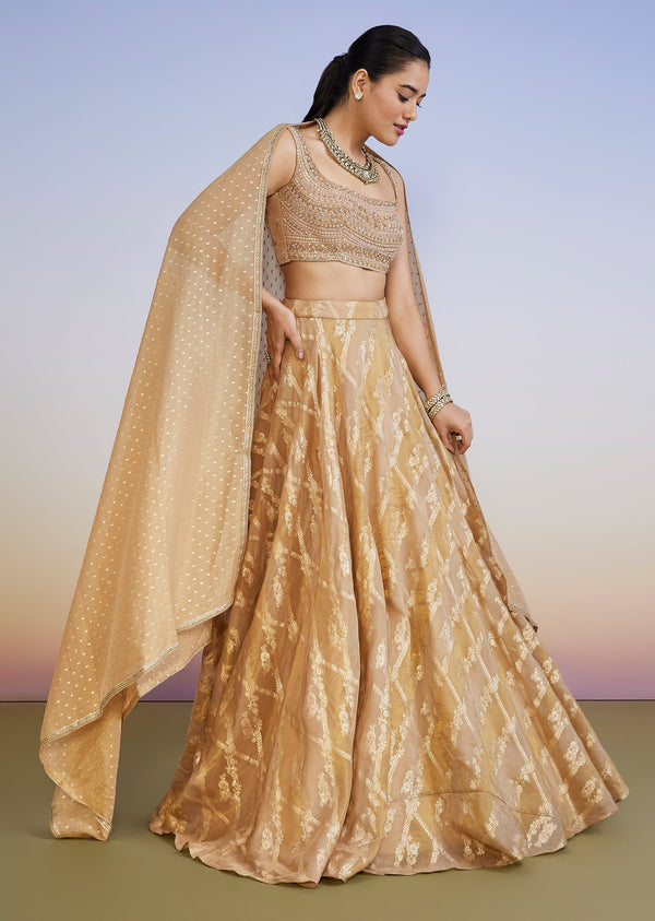 Gold Organza Banarasi Lehenga