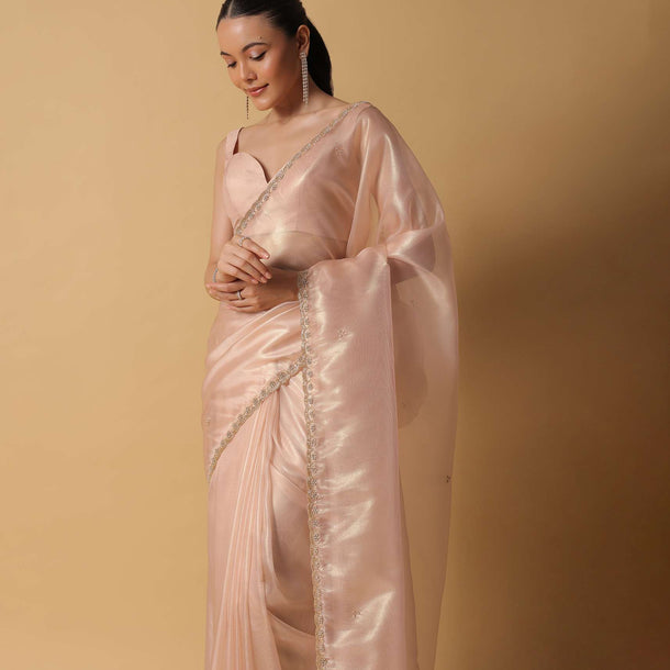 Gold And Brown Toned Saree In Tissue With Cut Dana Embroidered Borders