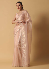 Gold And Brown Toned Saree In Tissue With Cut Dana Embroidered Borders