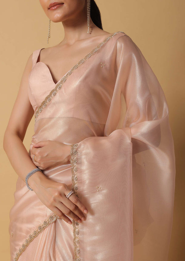 Gold And Brown Toned Saree In Tissue With Cut Dana Embroidered Borders