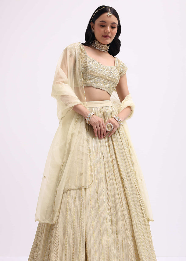 Gold And Ivory Embroidered Net Lehenga Choli Set