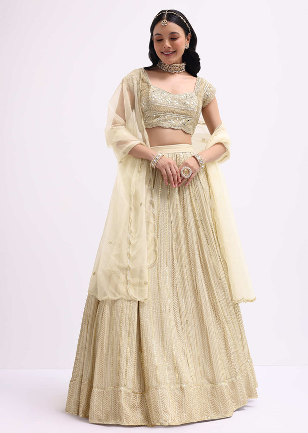 Gold And Ivory Embroidered Net Lehenga Choli Set