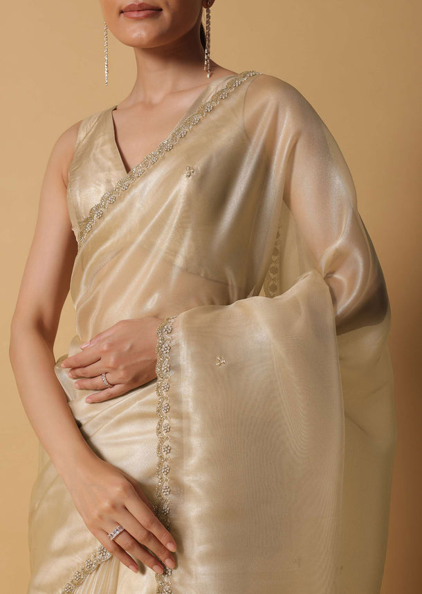 Gold Foil Saree In Tissue With Cut Dana Embroidered Borders