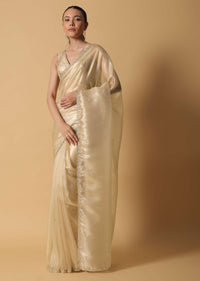 Gold Foil Saree In Tissue With Cut Dana Embroidered Borders