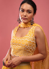Canary Yellow Lehenga In Georgette With Fully Embroidered Blouse And Organza Dupatta