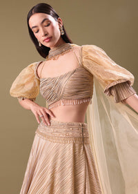 Gold Pre Pleated Lehenga With Choker Dupatta