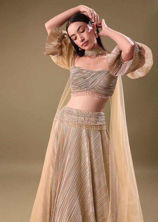 Gold Pre Pleated Lehenga With Choker Dupatta