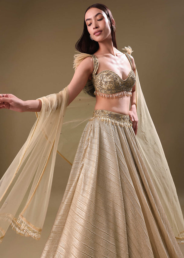 Gold Pre Pleated Lehenga With Embellished Blouse And Net Dupatta