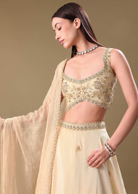 Gold Tissue Lehenga With Hand Embroidered Blouse Set