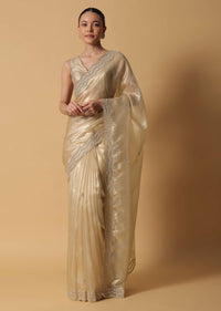 Gold Toned Foil Saree In Tissue With Cut Dana Embroidered Borders