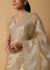 Gold Toned Foil Saree In Tissue With Cut Dana Embroidered Borders