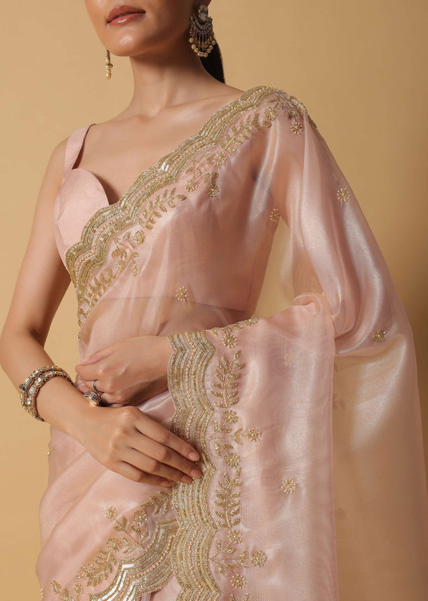 Gold Toned Tissue Saree With Cut Dana Embroidered Borders