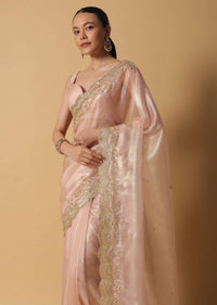 Gold Toned Tissue Saree With Cut Dana Embroidered Borders