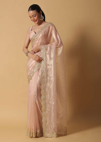 Gold Toned Tissue Saree With Cut Dana Embroidered Borders