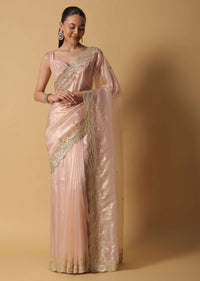 Gold Toned Tissue Saree With Cut Dana Embroidered Borders