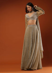 Gothic Olive Lehenga And A Crop Top Set In Shimmer Crush, Crop Top Comesi In Full Sleeves With Afrill On The Top