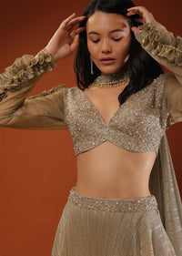 Gothic Olive Lehenga And A Crop Top Set In Shimmer Crush, Crop Top Comesi In Full Sleeves With Afrill On The Top