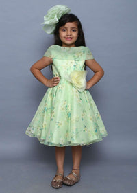 Green Dress In Printed Organza With Handmade 3D Flower And Shawl Collar Neck Online - Kalki Fashion