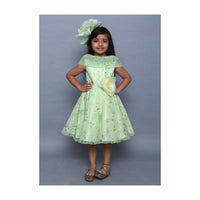 Green Dress In Printed Organza With Handmade 3D Flower And Shawl Collar Neck Online - Kalki Fashion