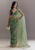 Green Shaded Tissue Saree With Cutwork Scallop Border